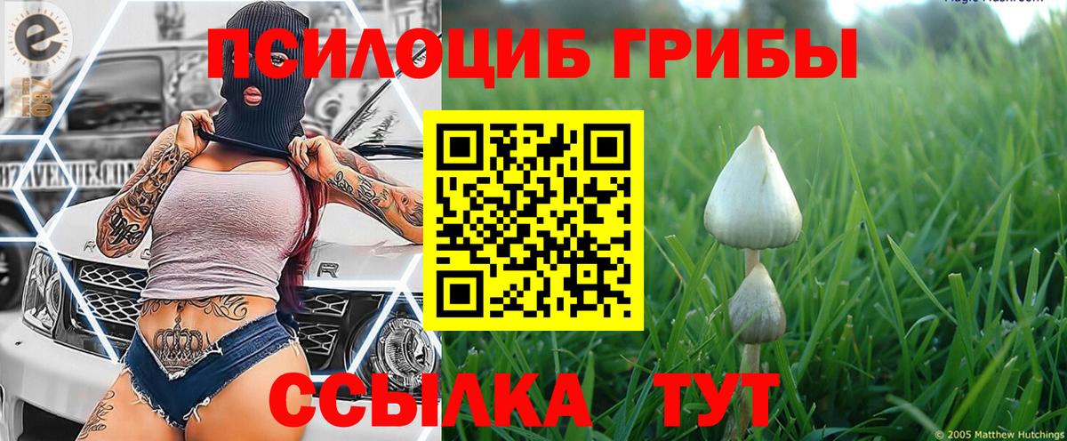 Галлюциногенные грибы ЛСД Ульяновск